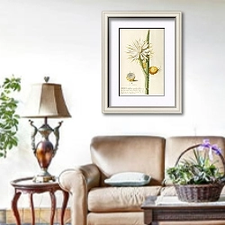 «Cereus» в интерьере гостиной в стиле прованс