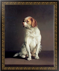 Постеры с собаками   на World Dog Show 2016
