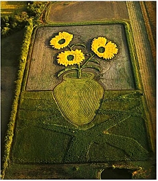  Творения полевого живописца Стэна Херда