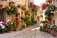 Красивые цветущие улочки Италии