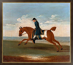 Постер Сеймур Джеймс One of Four Portraits of Horses - a Chestnut Racehorse Exercised by a Trainer in a Blue Coat 1730