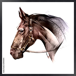 Постер Иллюстрация с головой лошади