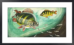 Постер Школа: Английская 20в. Fish