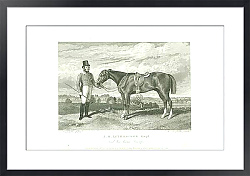 Постер J.H. Lethbridge Esqr. And his horse Trump 1