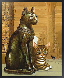 Постер Брумфильд Франсис (совр) Mike the British Museum Kitten, 1995