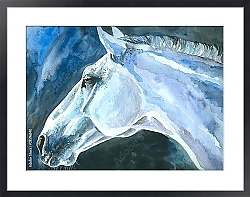Постер Белый конь, портрет, акварель