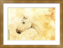 Постер Рисунок лошади на старой бумаге