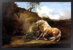 Постер Стаббс Джордж A Horse Frightened by a Lion, c.1790-5