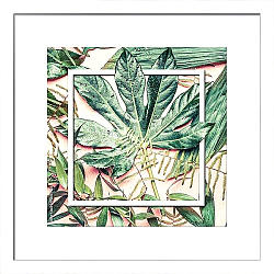 Постер Зеленые тропические листья с белой рамкой