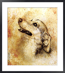 Постер Собака, рисунок карандашом на старой бумаге