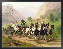 Постер Школа: Австрийская 19в. Emperor Franz Joseph I of Austria, 1855