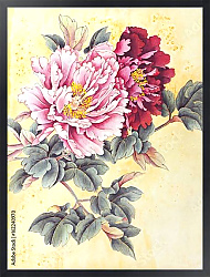 Постер Два пиона розового и красного цвета