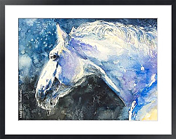 Постер Портрет белой лошади