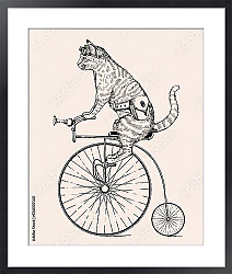 Постер Кошка на ретро велосипеде