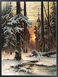 Постер Клевер Юлий Зимний закат в еловом лесу. 1889