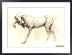 Постер Эскиз с конем