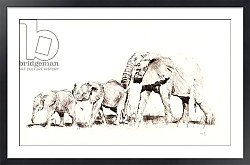 Постер Сандерс Франческа (совр) Elephant family, 2014