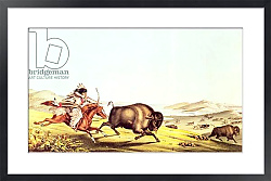 Постер Неизвестен Hunting the Buffalo