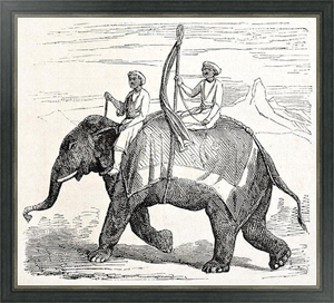 Постер на холсте Elephant in Oude