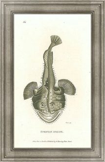 Постер в раме European Angler