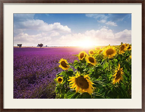Картина в раме Франция, Прованс. Солнце и лавандовое поле №27