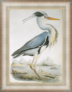 Постер на холсте Grey Heron