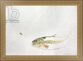 Картина в раме Trout chasing a fisherman's fly, Гиббс Лоу