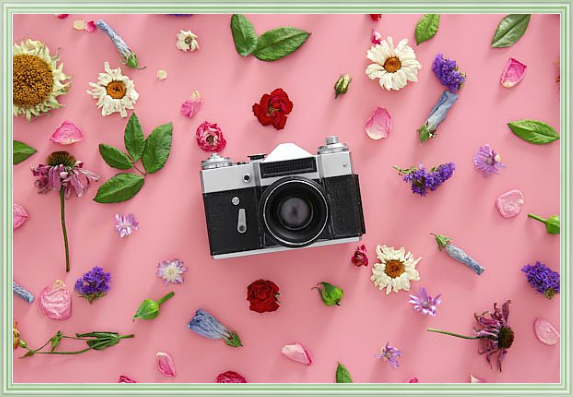 Ретро камера и сухие цветы в раме на холсте