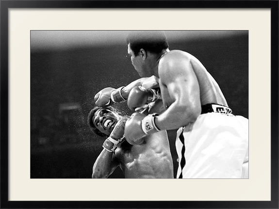 Боксеры, ретро-фото в черной раме под стеклом