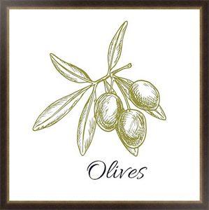 Ретро-постер Оливковая ветвь с зелеными оливками